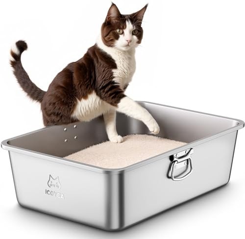 Stainless steel cat litter - cat,