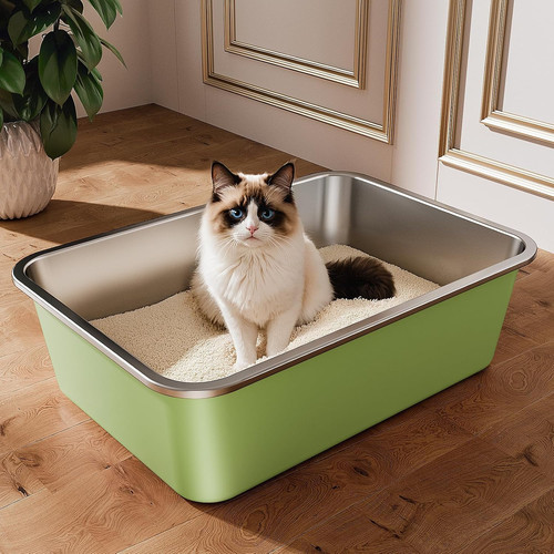 Stainless steel cat litter - cat,