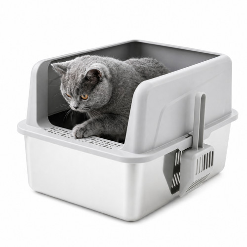 B2c medium stainless steel - medium, cat