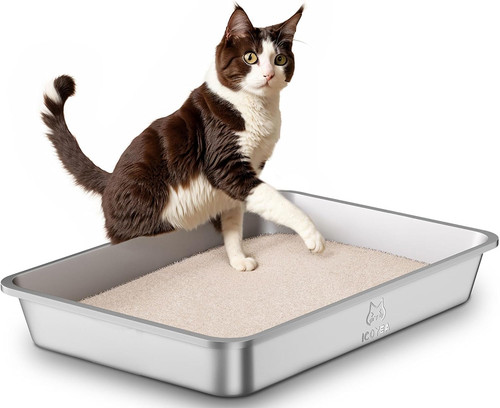 Stainless steel cat litter - cat,
