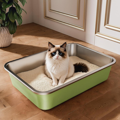 Stainless steel cat - stainless,