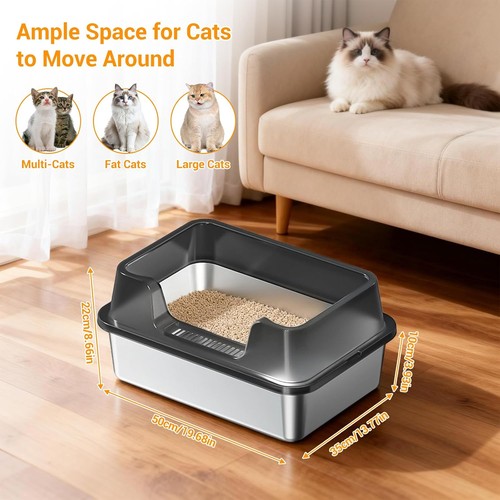 Stainless steel cat - steel, box