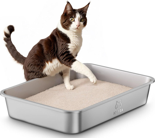 Stainless steel cat - steel,