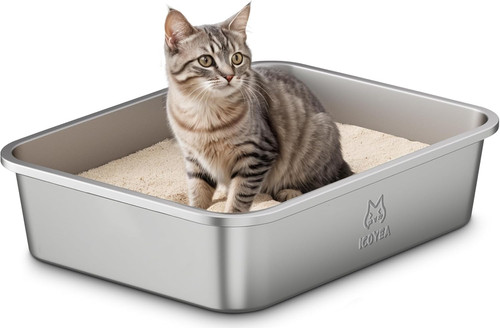 Stainless steel cat - steel,