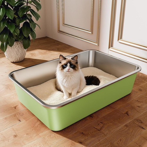 Stainless steel cat - steel,