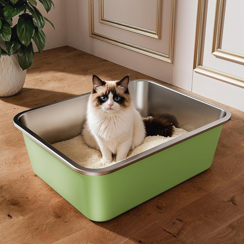 Stainless steel cat litter - cat,