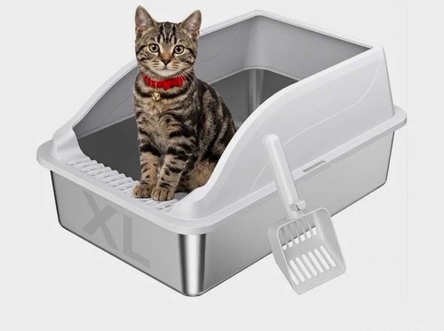 New kiseng stainless steel - kiseng, cat