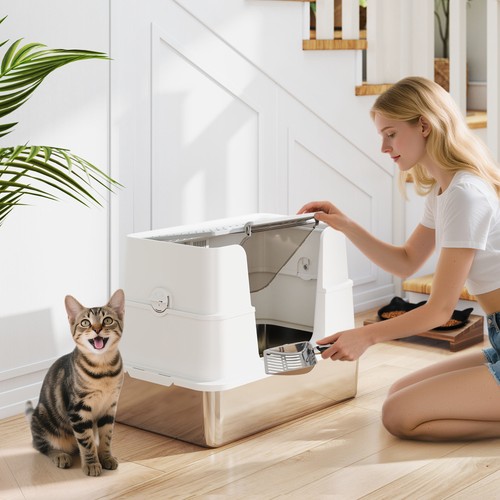 Stainless steel cat litter - cat,