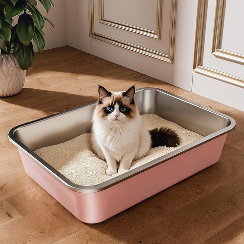 Stainless steel cat litter - cat,