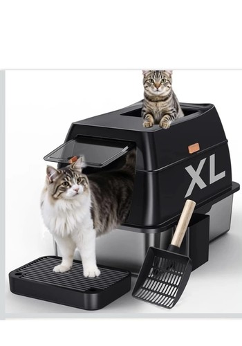 Cat litter box - cat,