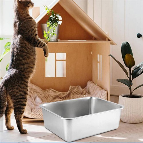 Cat litter box for - cat, indoor