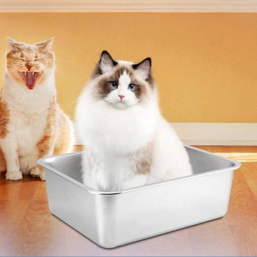 Cat litter box - cat,
